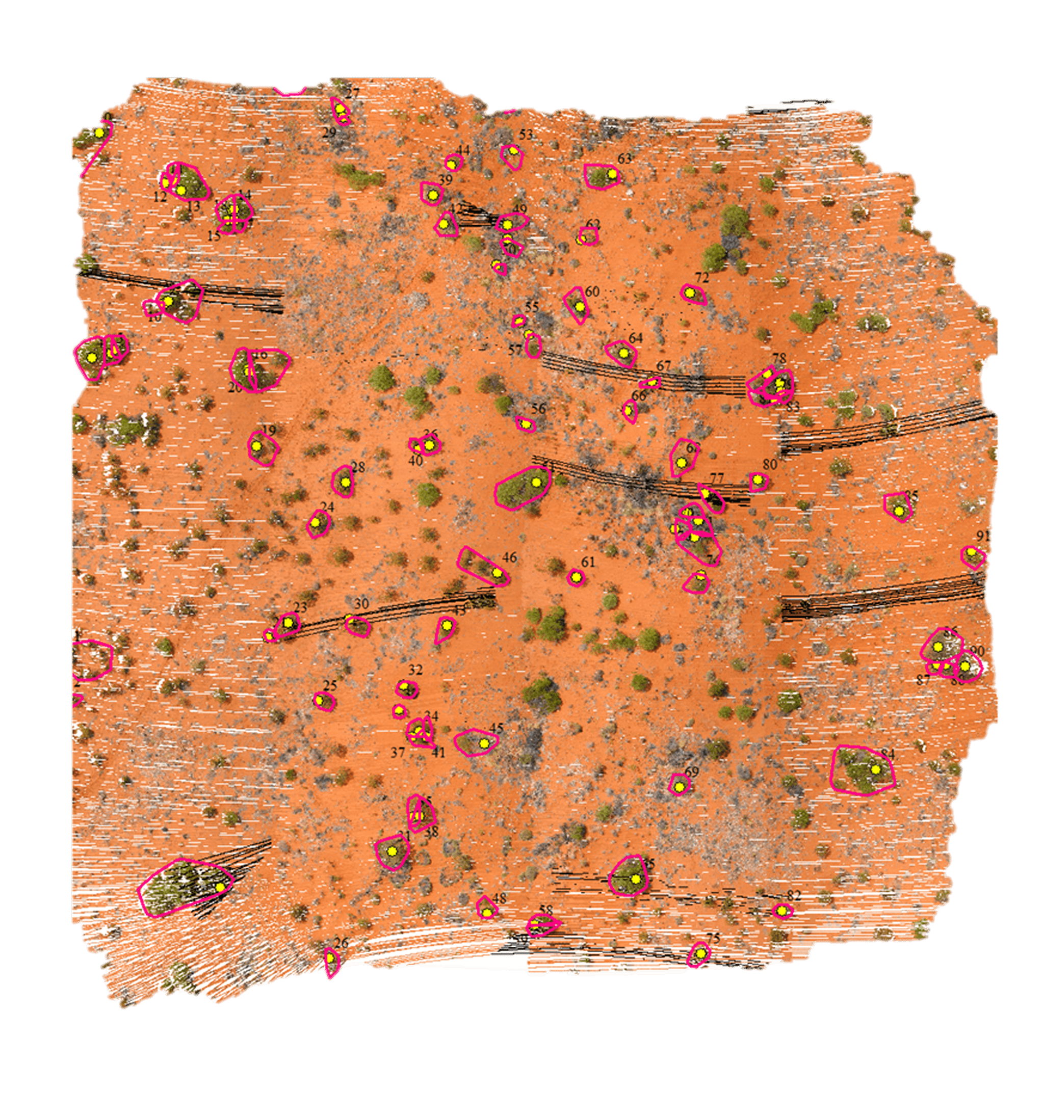 Automated processing at scale