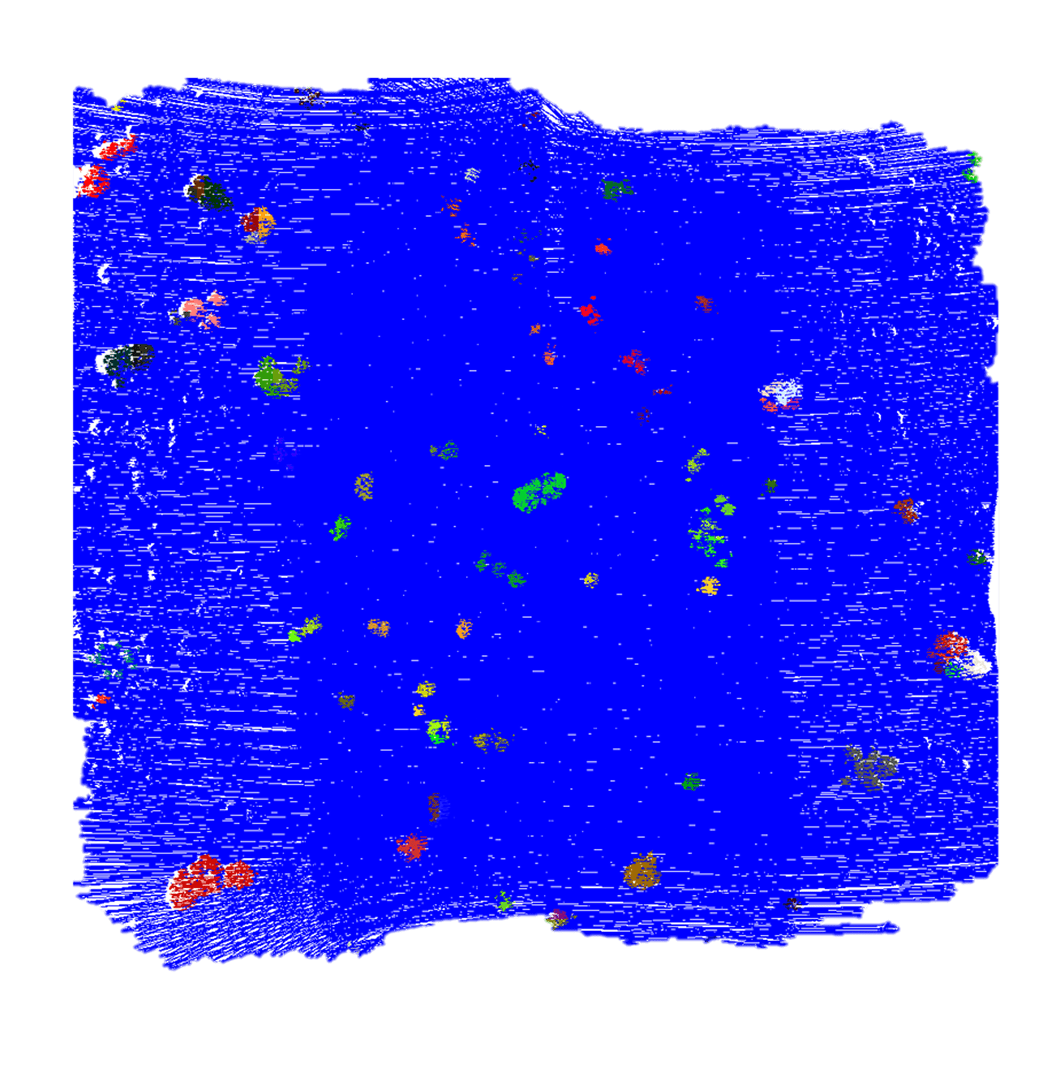 Automated Segmentation